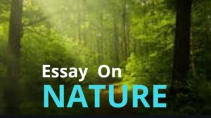essay about nature pdf