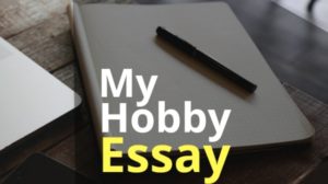 my hobby essay 600 words