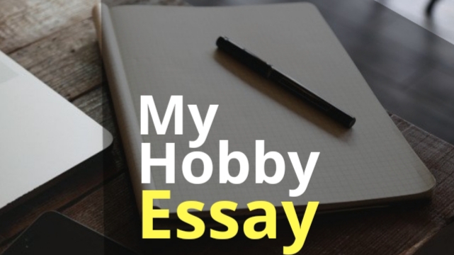 my hobby essay 600 words