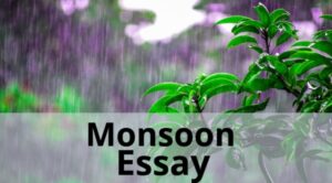 essay on winter monsoon