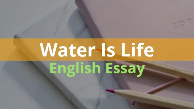 Water is life Essay in English