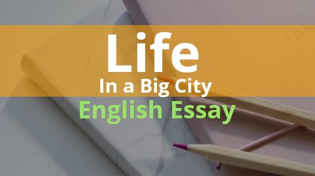 Life In a Big City Essay